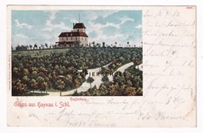 alte Ak 1902 Gruss aus Haynau