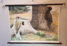 SPECHT Nils Tiren Wandkarte