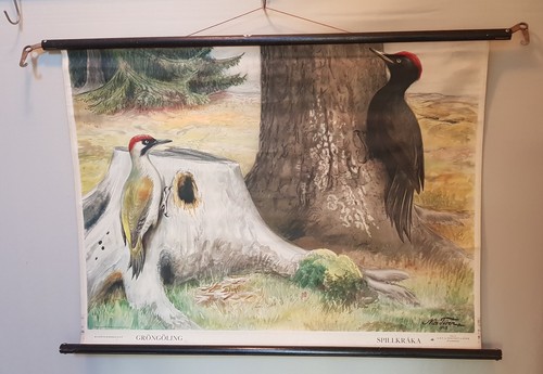 Specht nils tiren wandkarte - tiren,