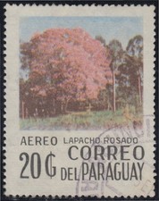 Paraguay A-759 1977 Lapacho Rosado Baum Gebraucht