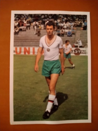 Ivan dimitrov wm - ivan,