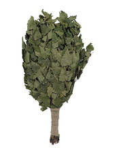 Dufte Momente 1x Birken Reisig