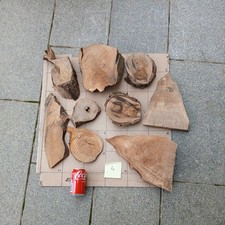 DIY ca 4Kg Deko Holz Abschnitte Edelholz mit Baumrinde Äste Bastelholz Obstbaum