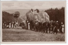 AK  Abtei Mariawald bei Heimbach Eifel  ,  Heuernte    alt !!   tolle Karte