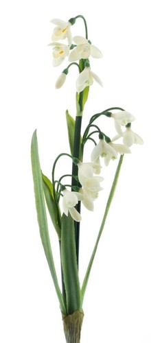 Artplants kunst - artplants,