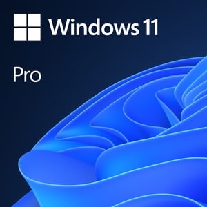 Microsoft oem windows pro - microsoft, 11