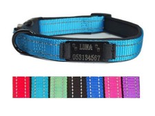 Hundehalsband Halsband Name Gravur personalisiert Haustier Hund Katze Nylon