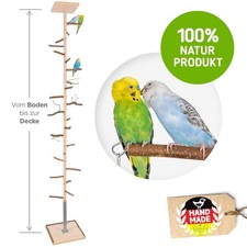 XXL Zimmerhoher Kletterbaum