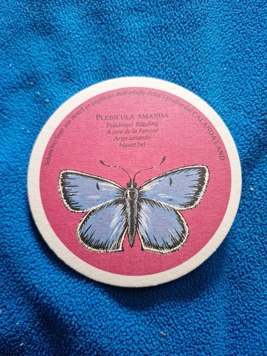 Bierdeckel schmetterling - bierdeckel,