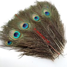 50/100/200X Natürliche