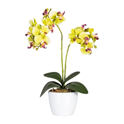 Kunstpflanze phalaenopsis 2er - phalaenopsis,,