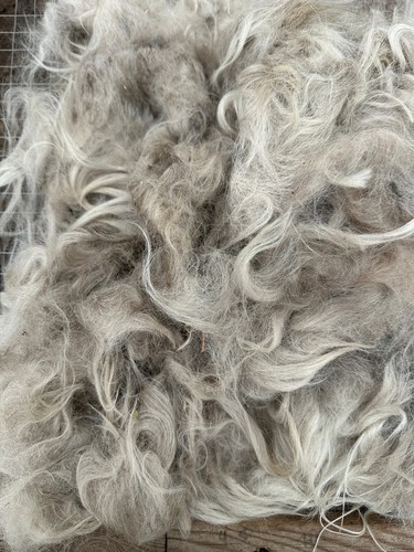 Lama rohwolle 480g wooly - rohwolle,