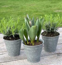 Blumentopf Set Zink 3 Stück