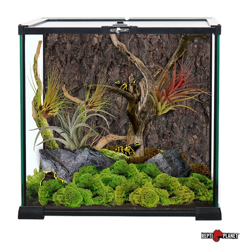 Repti planet terrarium - repti,
