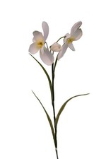 Schneegloeckchen 37cm