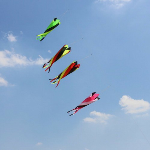Rainbow drachen schwanz - 1.2m,