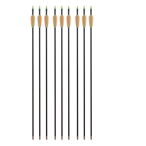 Fiberglaspfeile pfeile - 9,
