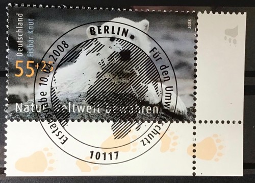 2656 eisbär knut - 2656,