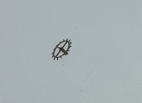 Ankerrad für dugena - cal., 2313