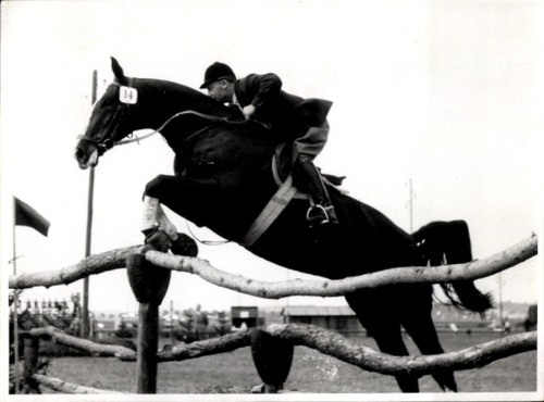 Foto reitturnier - foto,