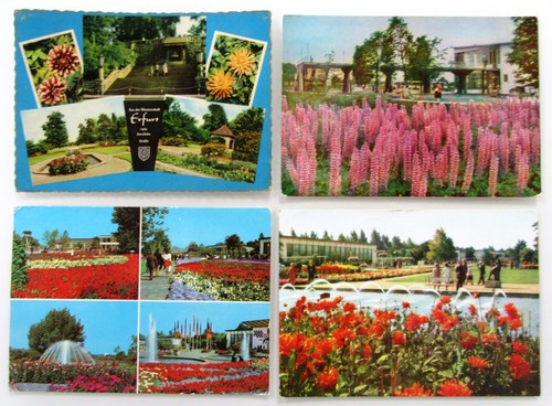 Postkarten lot ddr erfurt - lot,