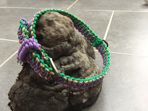 Schönes hundehalsband aus - hundehalsband,