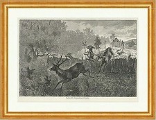 Ungebetene Gäste Georg Koch Bauernhof Rehe Tiere Zaun Garten Holzstich E 12101