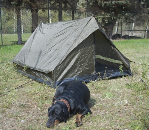 Mil tec zweimannzelt - mini, pack
