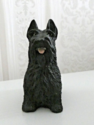 Scottish terrier hund - terrier, sitzend