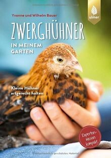 Zwerghühner meinem garten - in,