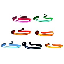 Flashing Pet Leash Escapeproof