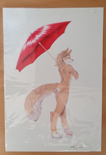 Furry yiff sfw fox - furry,