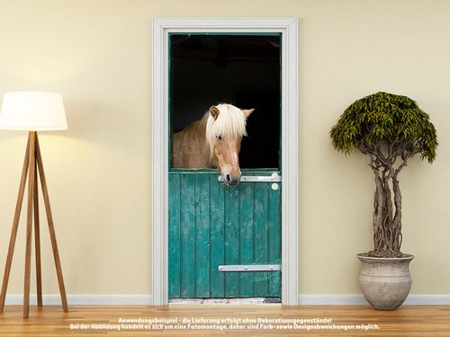 Türtapete türposter pferd - pferd, im
