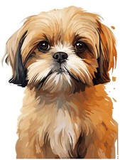 XXL Shih Tzu Auto Aufkleber
