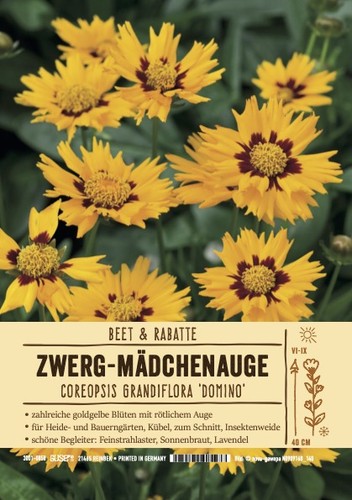 Coreopsis grandifora