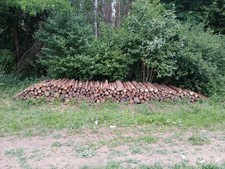 Brennholz Fichte  Käferholz 4,6Ster in der Nähe von Bad Berka!