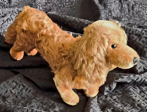 Antik steiff hund - antik,