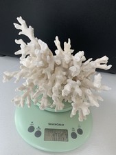 Naturfarbene Koralle Deko Ältere 70er/ 80 er