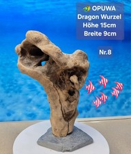 OPUWA DRAGON ⭐️ Aquarium