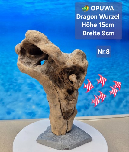 Opuwa dragon aquarium - dragon,