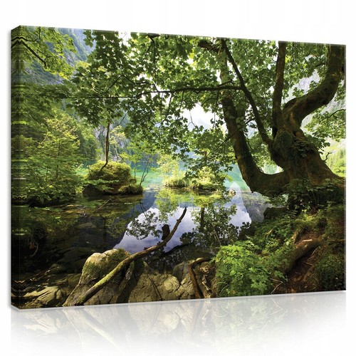 Leinwand bilder xxl baum natur - leinwand,