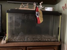 Aquarium 1   80x50cm Mit Pumpe