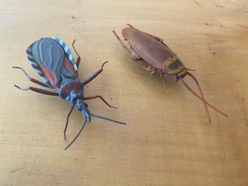 Hex bug konvolut - bug, 2