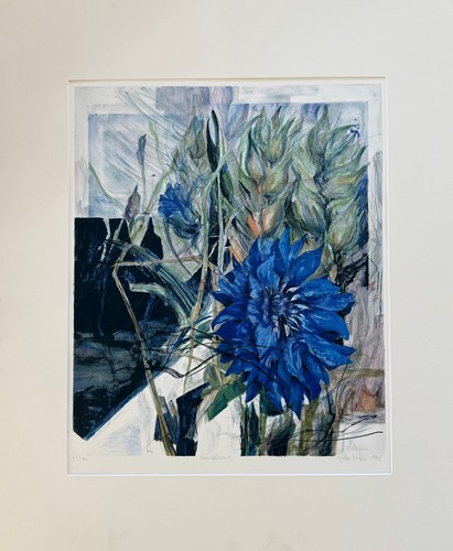 Kornblume farblithographie - kornblume,