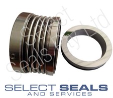 BBA Selbstansaugende Pumpe