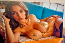 Blechschild  / Japan Girl sexi