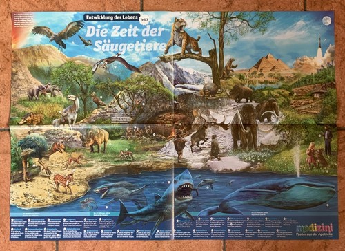 Poster medizini entwicklung - poster,