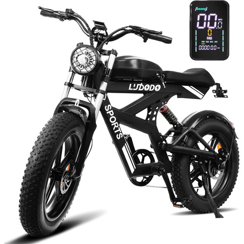 Elektrofahrrad für