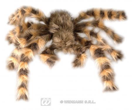Jumbo spinne tarantula - spinne,