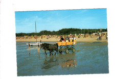 B61 nordseeheilbad cuxhaven - nordseeheilbad, cuxhaven-